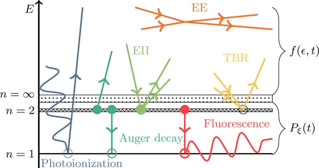 [Figure 1]