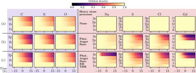 [Figure 3]
