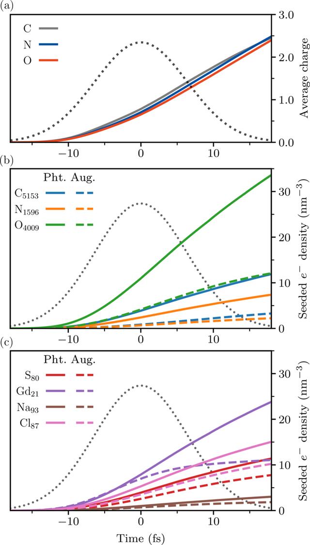 [Figure 4]