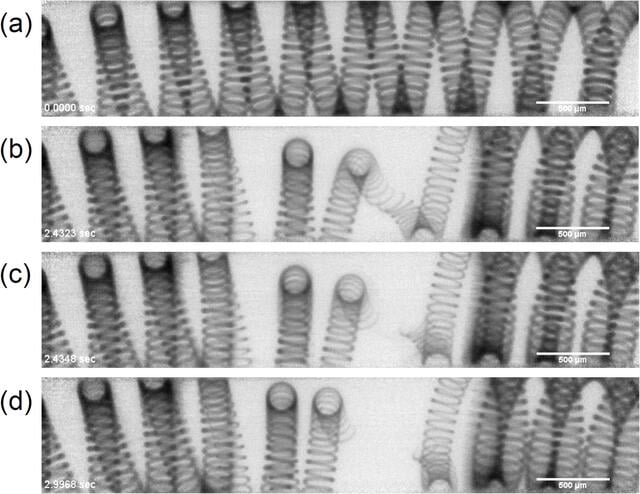 [Figure 12]
