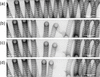 [Figure 12]