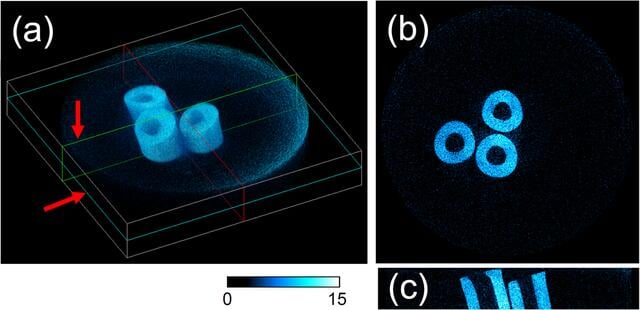 [Figure 13]
