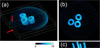 [Figure 13]