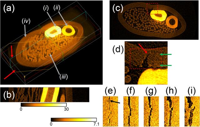 [Figure 14]