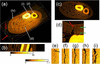 [Figure 14]