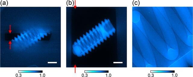 [Figure 15]
