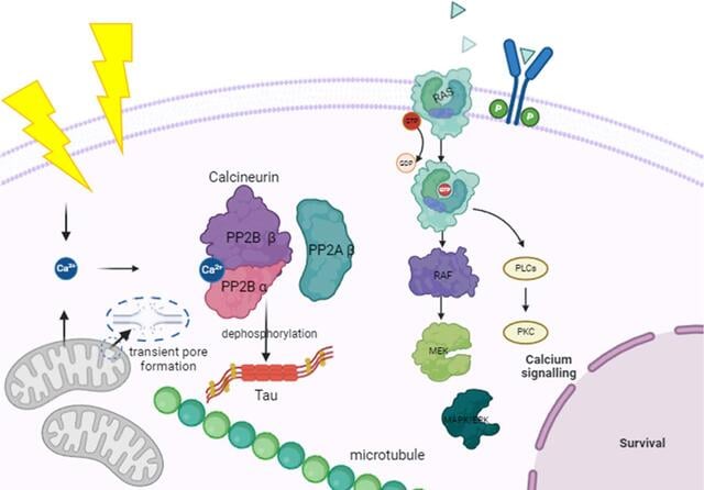 [Figure 6]