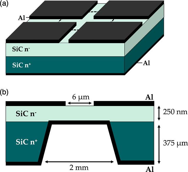 [Figure 1]