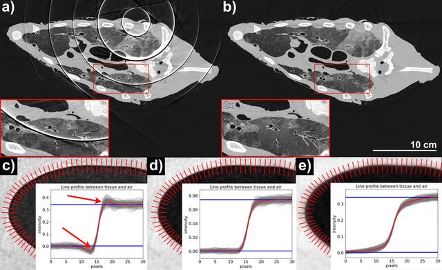 [Figure 2]
