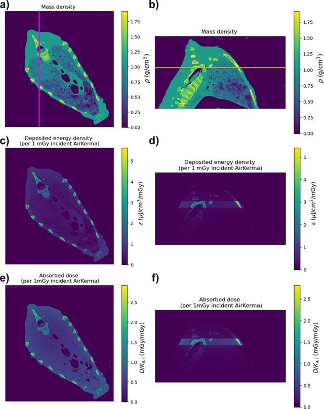 [Figure 4]