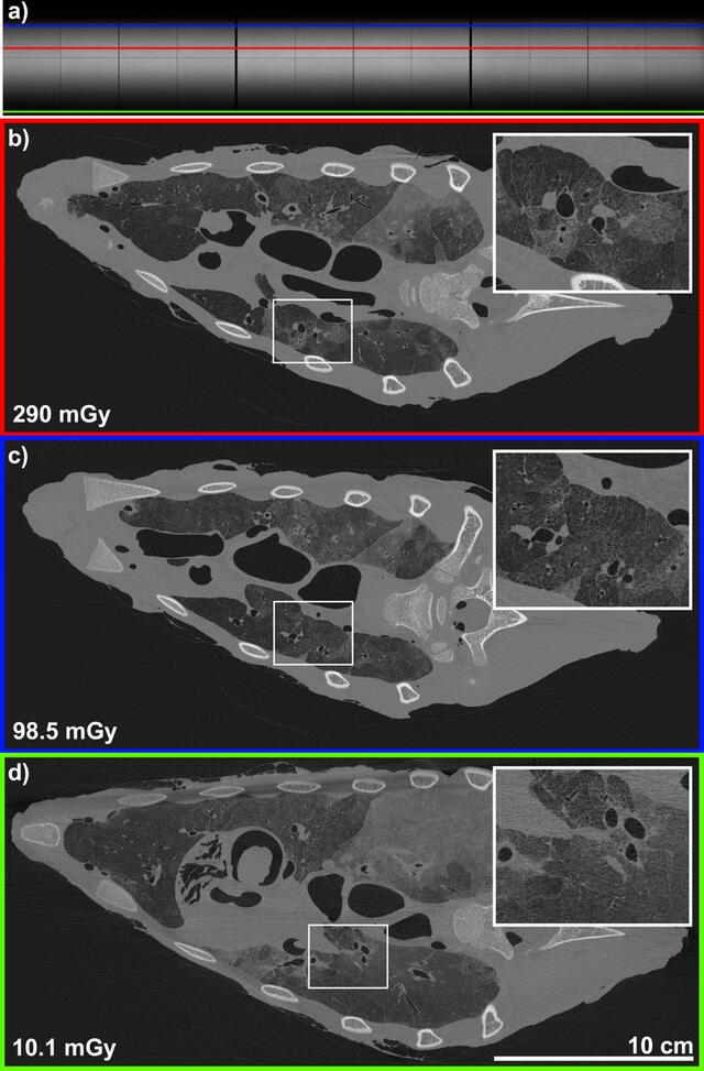 [Figure 6]