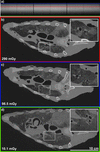 [Figure 6]
