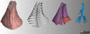 link to html