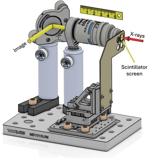 [Figure 1]