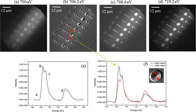 [Figure 3]