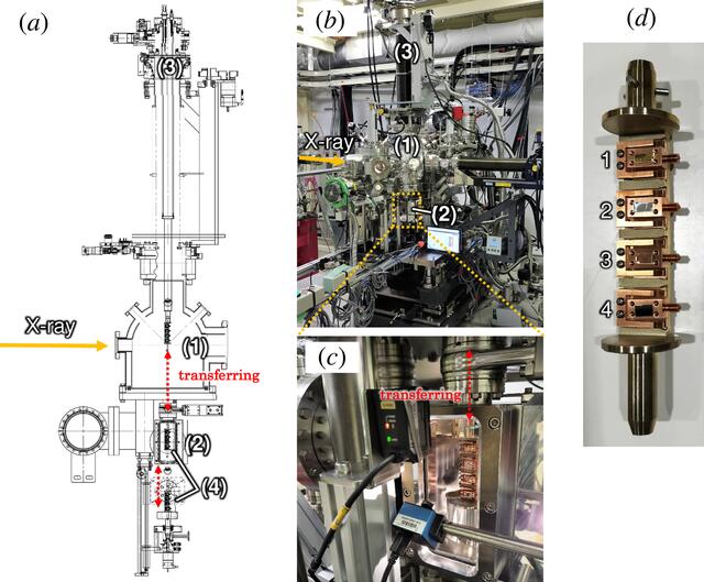 [Figure 4]