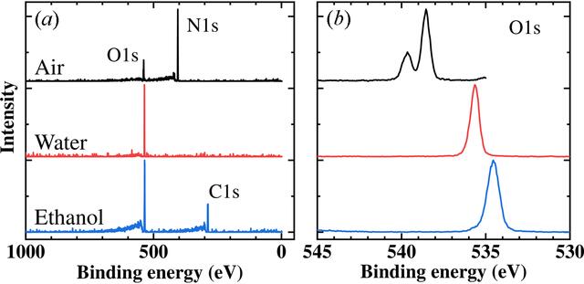 [Figure 5]