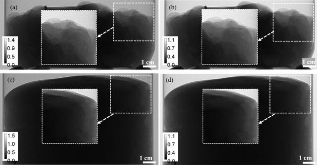 [Figure 1]
