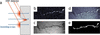 [Figure 4]