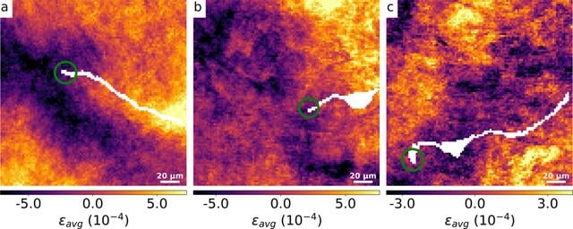 [Figure 9]