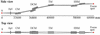 [Figure 1]