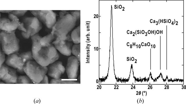[Figure 1]