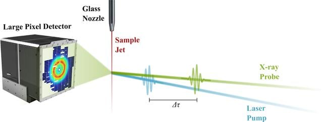 [Figure 1]
