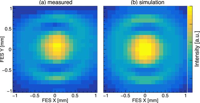 [Figure 10]
