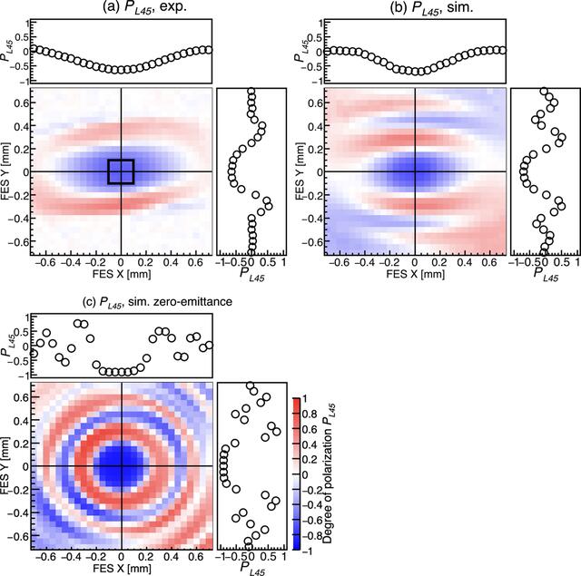 [Figure 12]