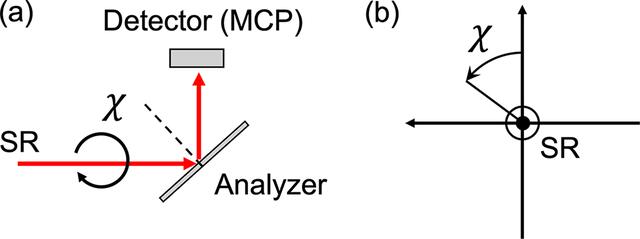 [Figure 8]