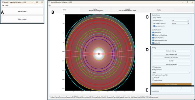 [Figure 2]