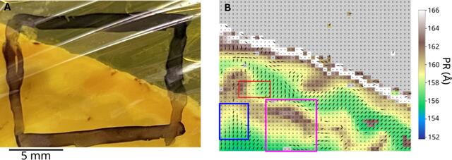 [Figure 9]