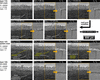 [Figure 10]