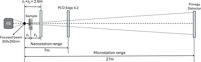 [Figure 1]