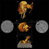 [Figure 3]