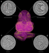 [Figure 4]