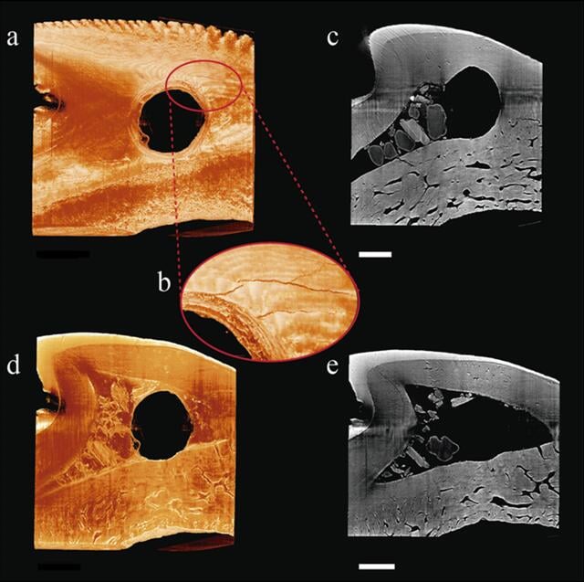 [Figure 6]