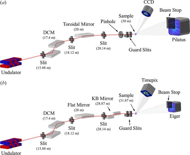 [Figure 1]
