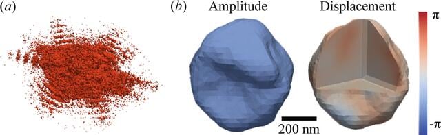 [Figure 7]