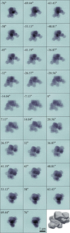 [Figure 9]