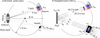 [Figure 2]