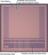 [Figure 2]