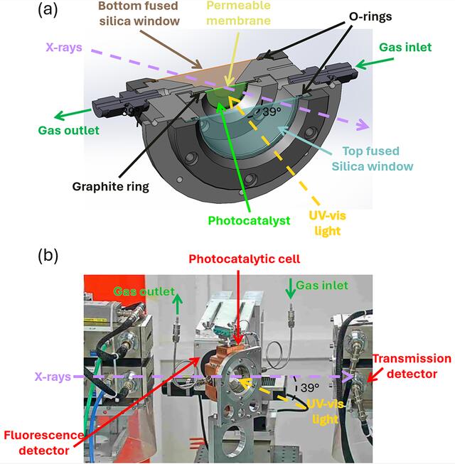 [Figure 1]