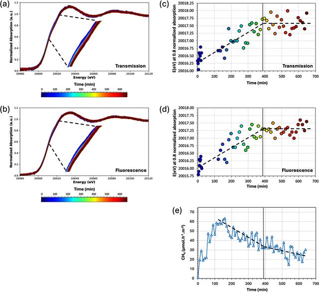 [Figure 5]