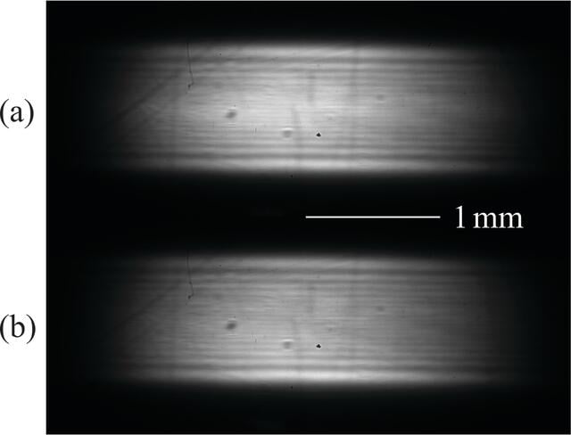 [Figure 10]