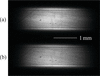 [Figure 10]