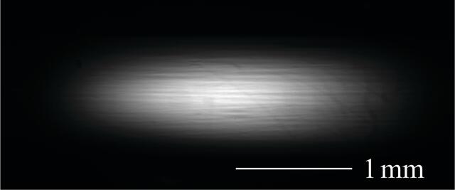 [Figure 12]