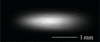 [Figure 12]