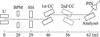 [Figure 1]