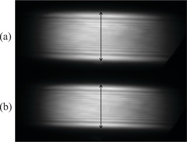 [Figure 5]
